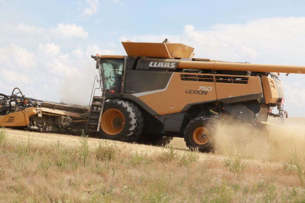Wheat harvest starts late, but good quality.